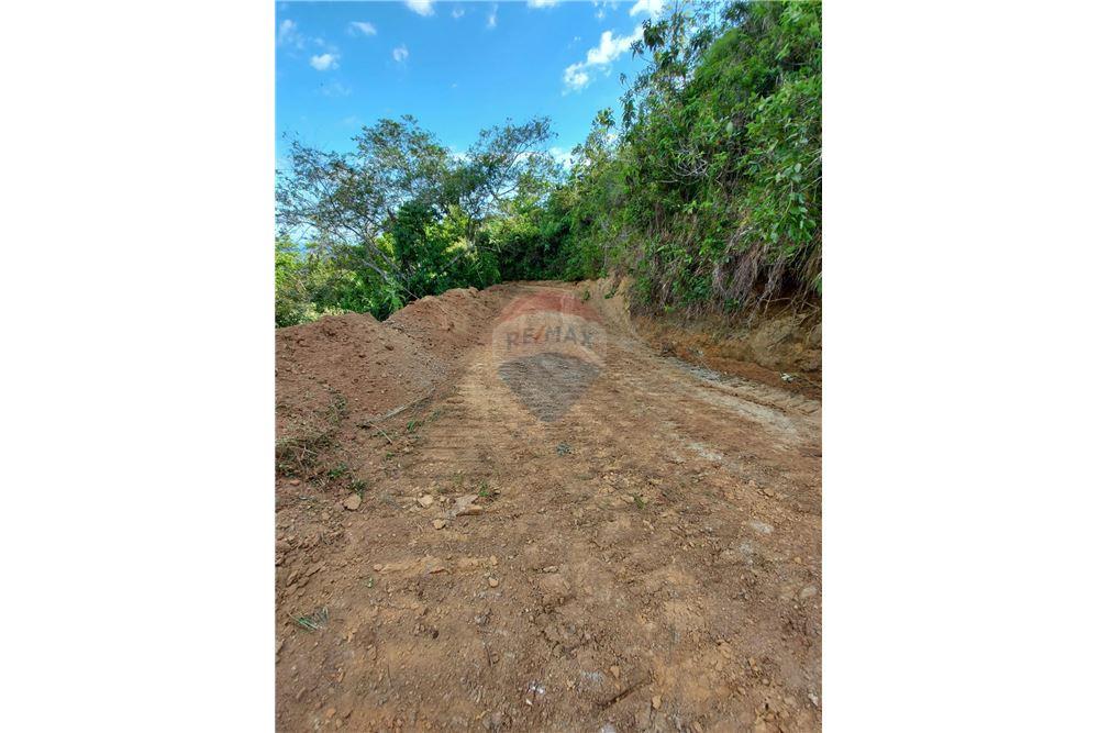 Surface commerciale - Autre terrain - San José, San José, Costa Rica - Caribbean & Central Ameri - 24 - 90168030-68