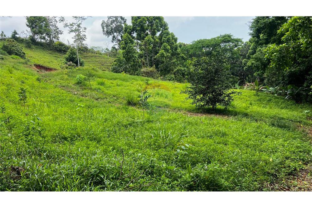 Commercial - Land - Bijagual, Puntarenas, Costa Rica - Caribbean & Central Ameri - 22 - 90168042-14