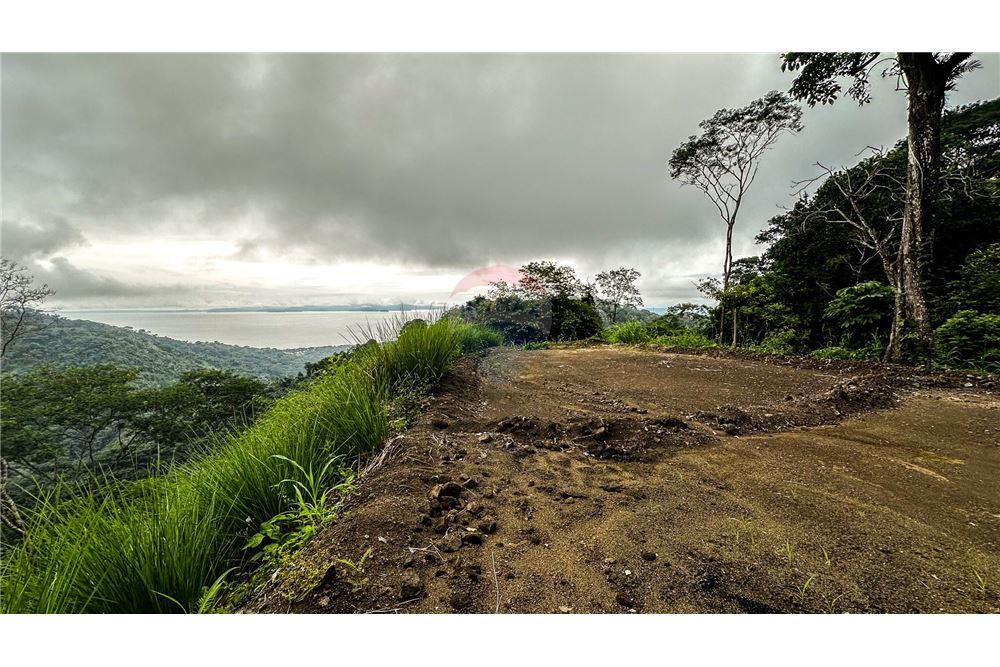 Commercial - Land - Jaco - Jaco, Puntarenas- Garabito, Costa Rica - Caribbean & Central Ameri - 11 - 90168016-217