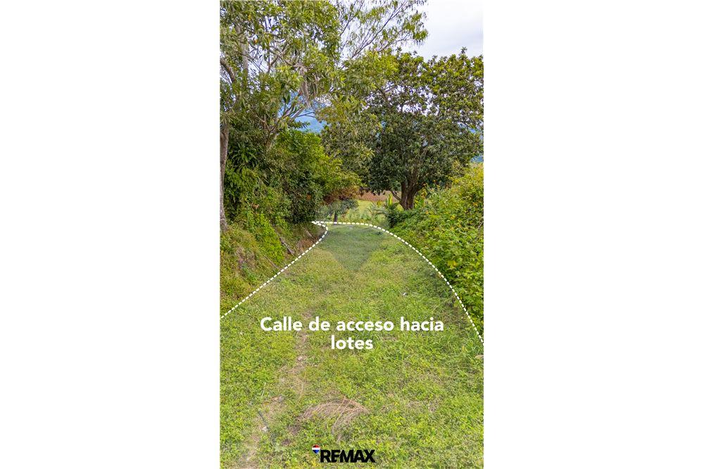Land - For Sale - Santa Cruz Analquito, Cuscatlán, El Salvador - 7 - 902711060-4