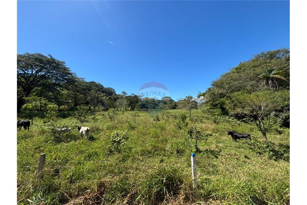 Comercial - Terreno - Atenas, Alajuela- Atenas, Costa Rica - Caribbean & Central Ameri - 29 - 90128002-998