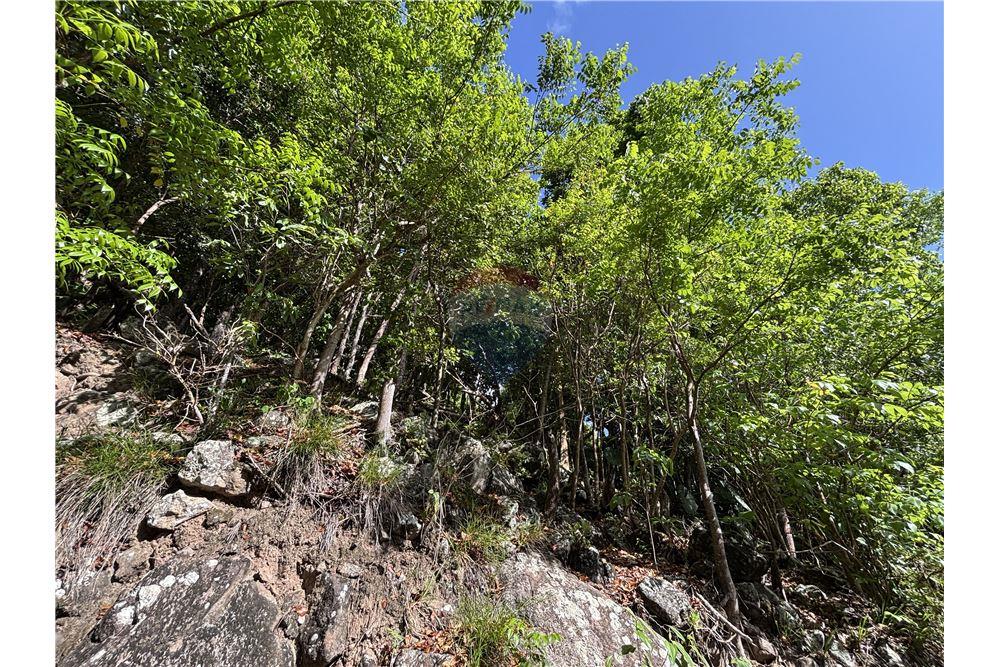 Land - For Sale - Windward Side, Saba, Saba - 2 - 90144016-29