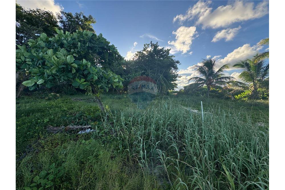 Comercial - Terreno - Placencia, Stann Creek District, Belice - Caribbean & Central Ameri - 3 - 90127003-302