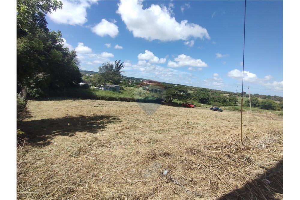 Commercial - Land - Isabela, Isabela, Puerto Rico - Caribbean & Central Ameri - 1 - 902461013-9