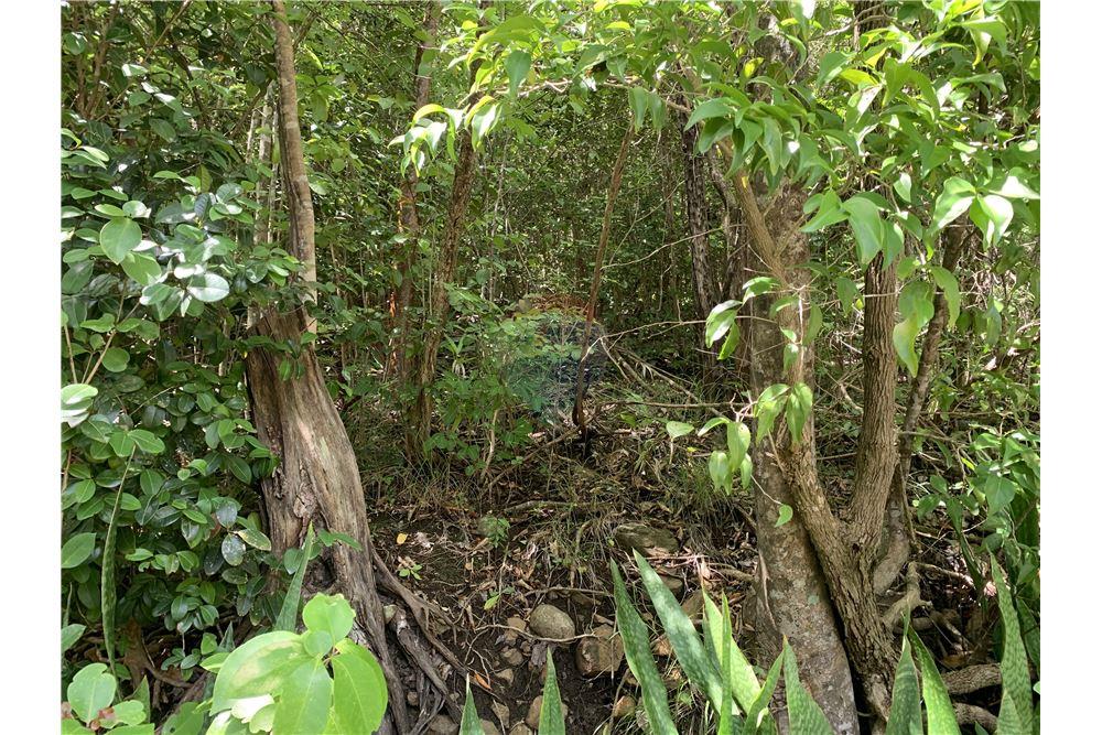 Lote - Venta - Gros Islet, Gros-Islet, St Lucia - 7 - 902071001-213