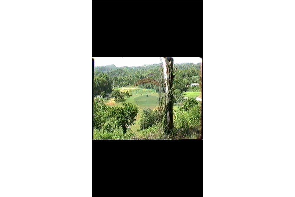 Land - For Sale - Dorado, Dorado, Puerto Rico - 15 - 90102025-331