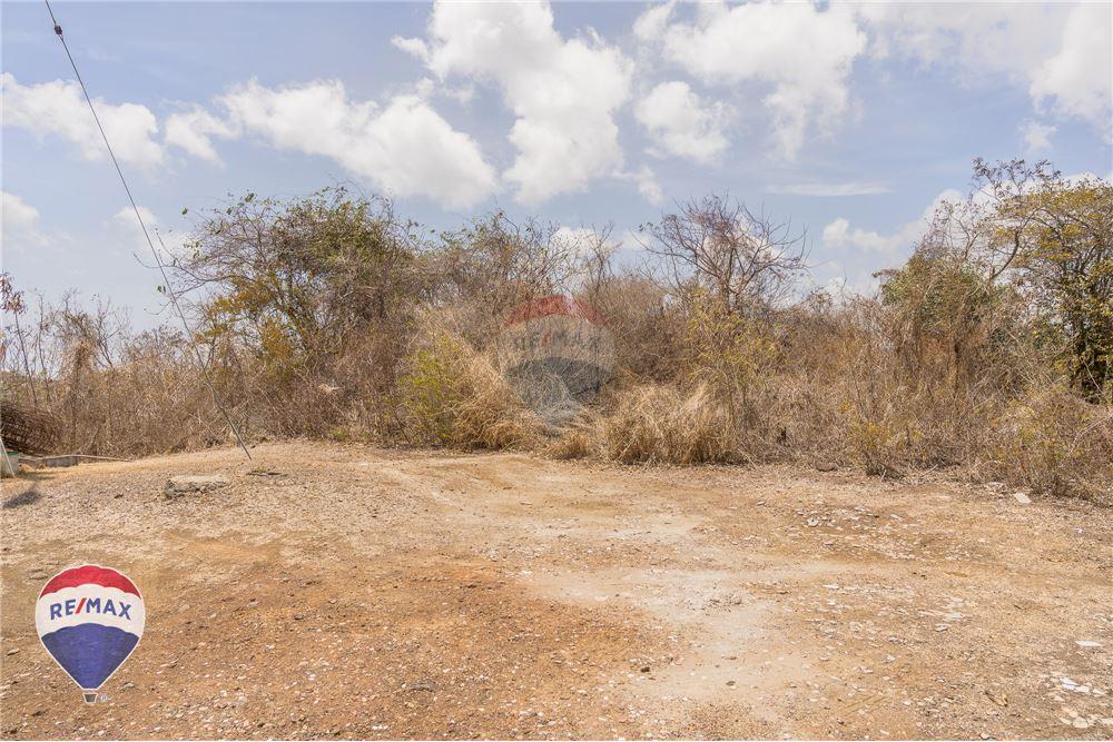 Land - For Sale - Lance aux Epines, Saint George, Grenada - 6 - 902581001-102