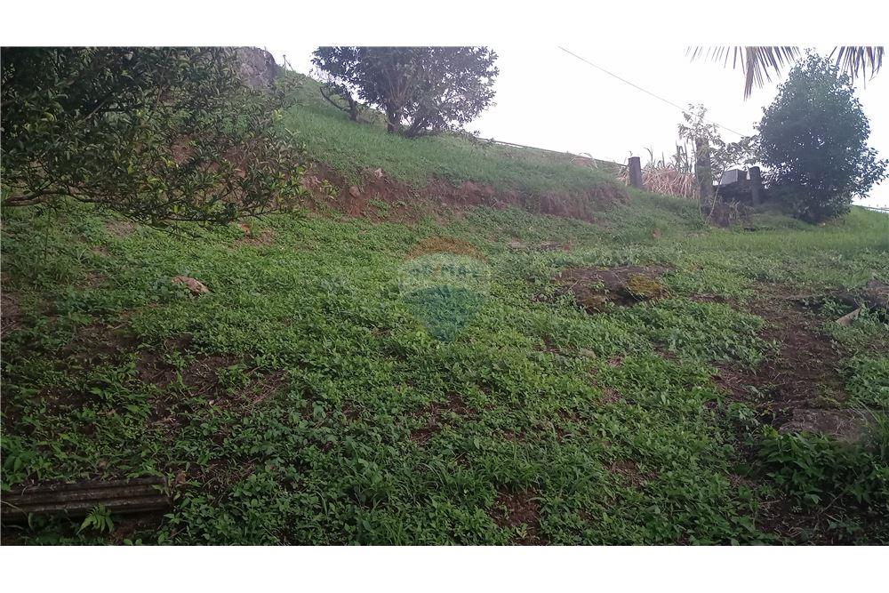 商业 - 土地 - Gomea, St Vincent, St Vincent and the Grenadines - Caribbean & Central Ameri - 5 - 90109008-7