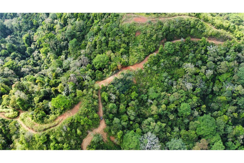 Surface commerciale - Autre terrain - San José, San José, Costa Rica - Caribbean & Central Ameri - 8 - 90168030-68