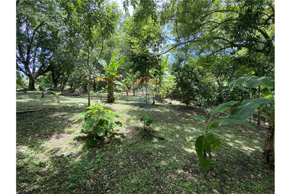 Villa - Te Koop - Manzanillo, Puntarenas - Puntarenas, Costa Rica - 18 - 90110006-43