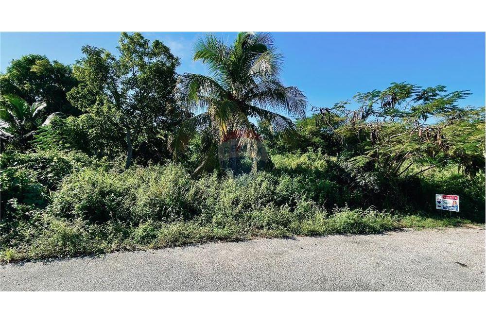 Commercieel - Grond - Lower Valley, Savannah, Kaimaninseln - Caribbean & Central Ameri - 4 - 90146033-43