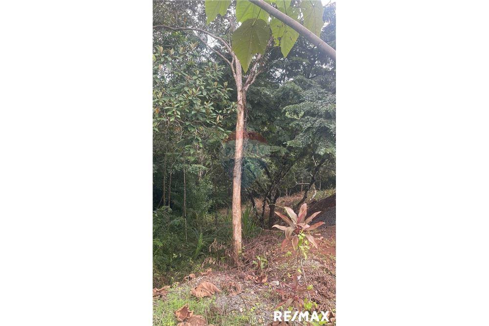 商业 - 土地 - Jaco - Playa Hermosa, Puntarenas- Garabito, 哥斯达黎加 - Caribbean & Central Ameri - 11 - 90168045-18