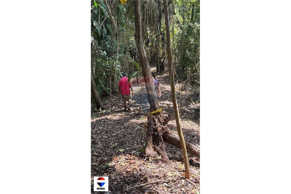 Comercial - Terrenos - Tarcoles - Quebrada Ganado, Puntarenas- Garabito, Costa Rica - Caribbean & Central Ameri - 11 - 90168030-59