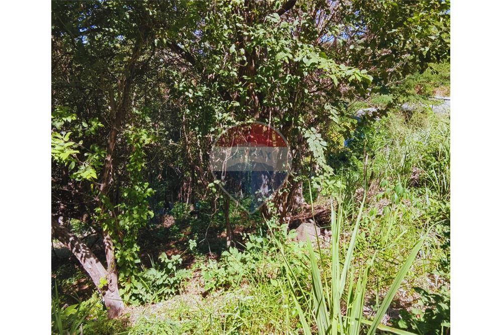 Land - For Sale - Tamanique, La Libertad, El Salvador - 5 - 901901070-10