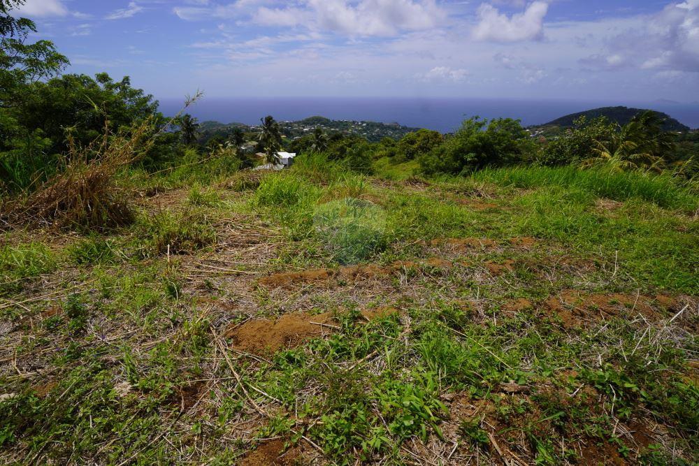 商业 - 土地 - Belmont, St Vincent, St Vincent and the Grenadines - Caribbean & Central Ameri - 16 - 90109001-315