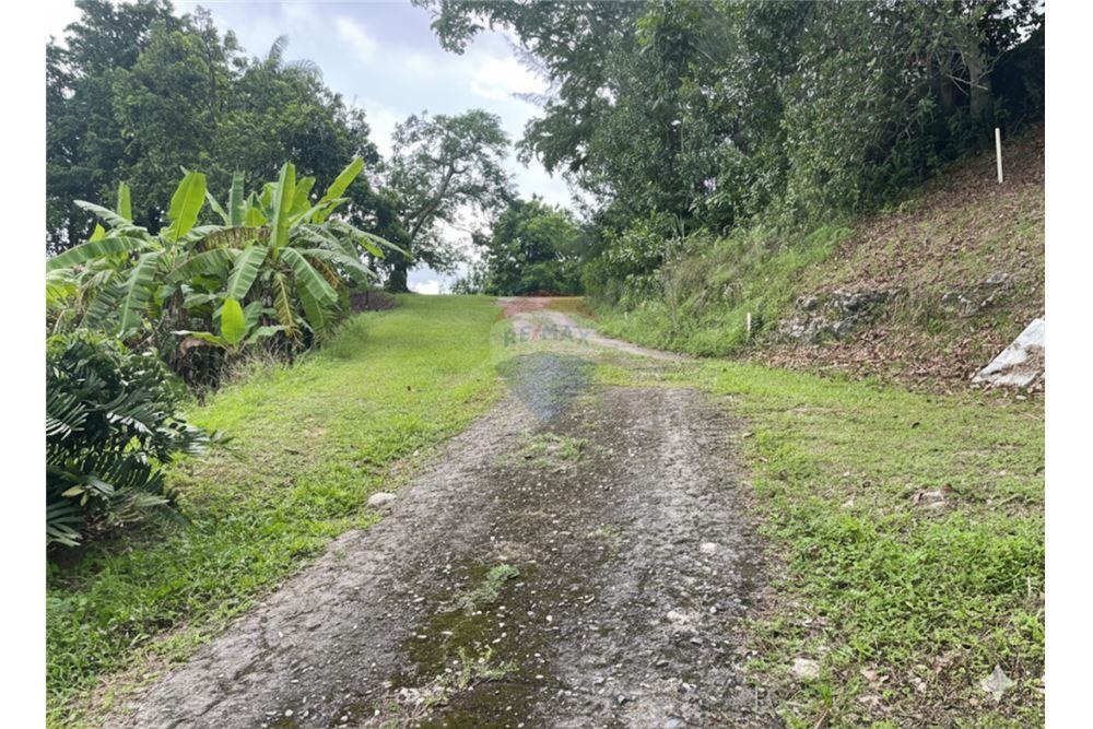 Land - For Sale - Vega Baja, Vega Baja, Puerto Rico - 10 - 90156053-35