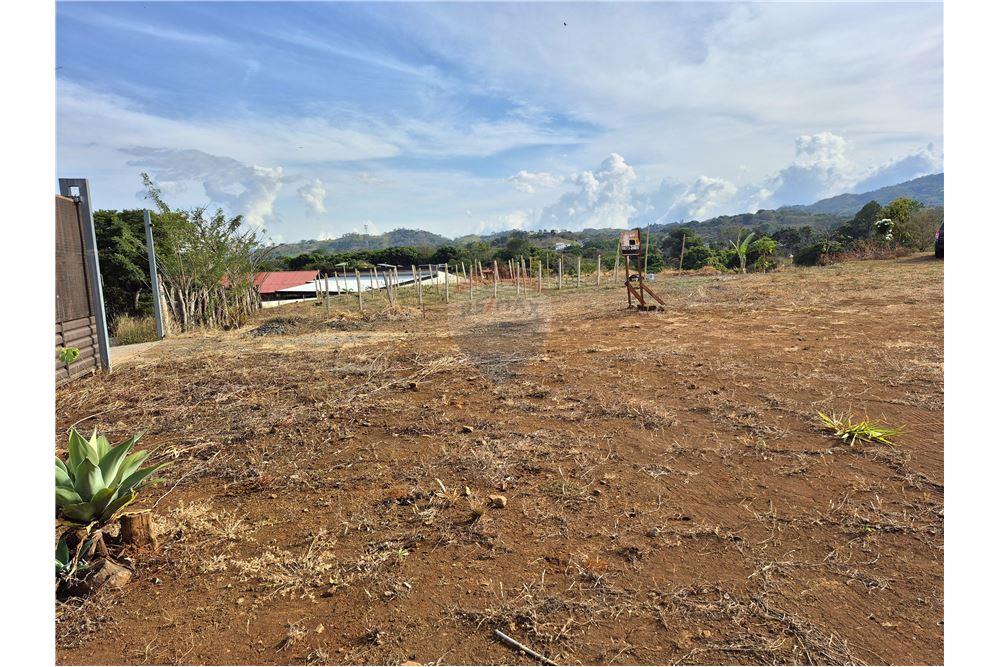 Commercial - Land - Atenas, Alajuela- Atenas, Costa Rica - Caribbean & Central Ameri - 4 - 90128007-167