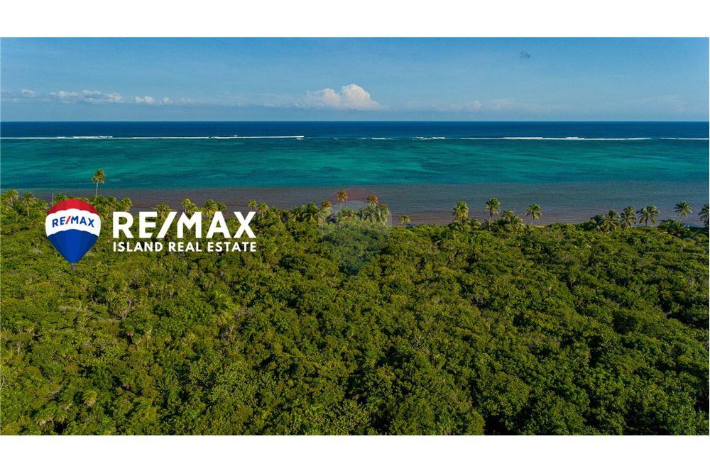 Commercial - Land - Ambergris Caye, Ambergris Caye, Belize - Caribbean & Central Ameri - 6 - 90135015-94
