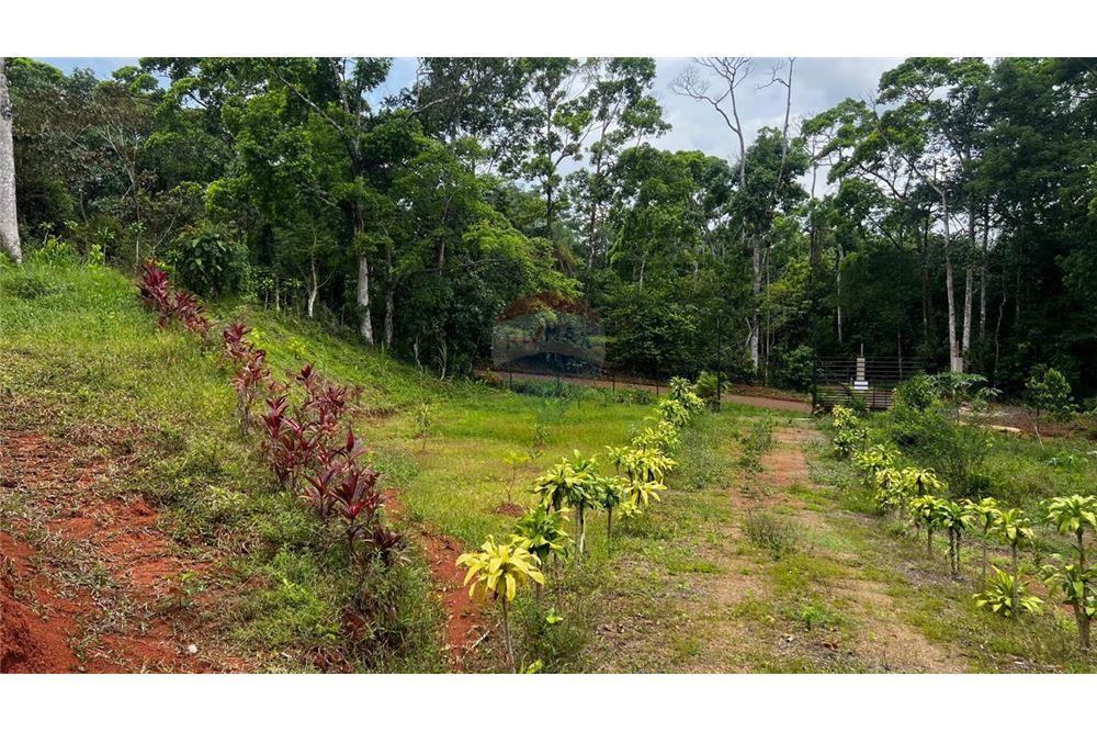 Commercial - Land - Bijagual, Puntarenas, Costa Rica - Caribbean & Central Ameri - 4 - 90168042-14
