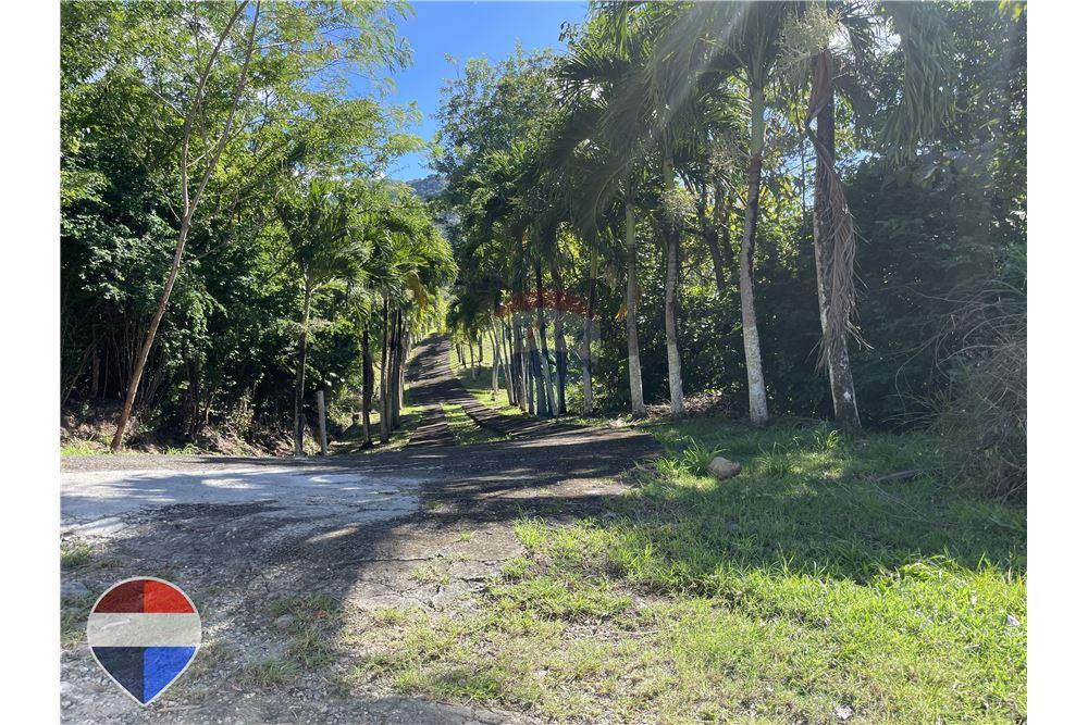 Land - For Sale - Theodorine, Anse-la-Raye, St Lucia - 3 - 902071001-196