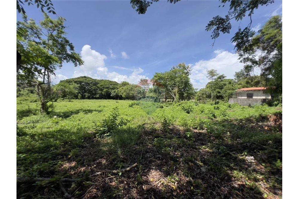 Commercial - Land - Rivas, Rivas, Nicaragua - Caribbean & Central Ameri - 7 - 90119008-102