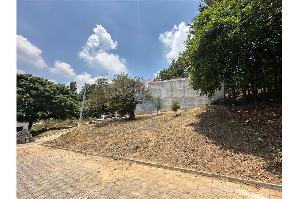 Grondstuk - Te Koop - Santa Lucía Milpas Altas, Sacatepéquez, Guatemala - 2 - 901141001-9