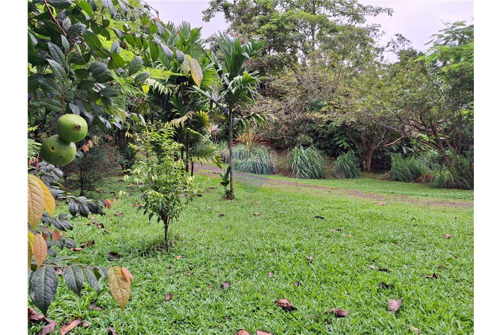 住宅 - 多户住宅 - Puntarenas, Puntarenas - Puntarenas, 哥斯达黎加 - Caribbean & Central Ameri - 6 - 90168039-34