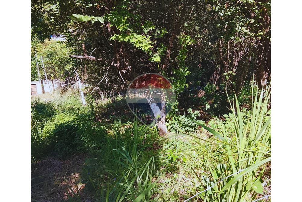 Land - For Sale - Tamanique, La Libertad, El Salvador - 5 - 901901070-9