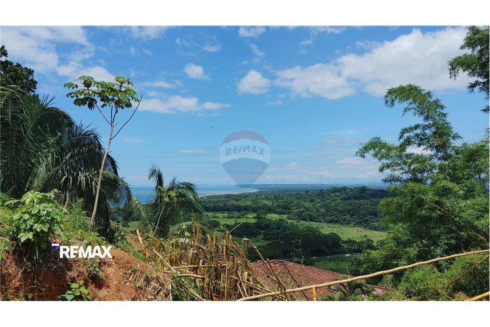 商业 - 土地 - Puntarenas, Puntarenas - Puntarenas, 哥斯达黎加 - Caribbean & Central Ameri - 6 - 90168041-27