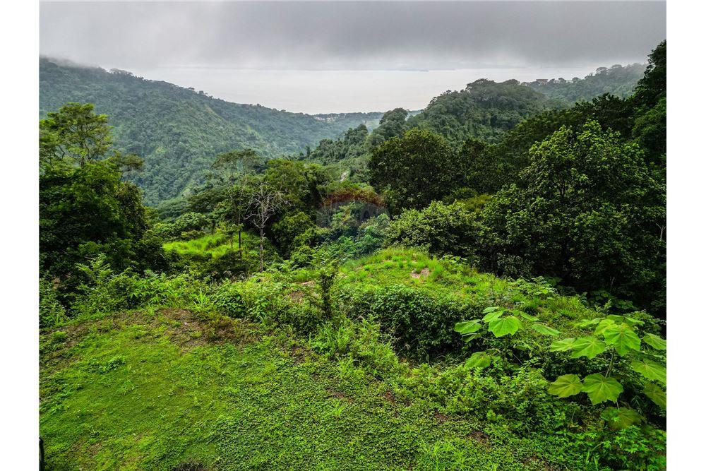 Commercial - Land - Jaco - Jaco, Puntarenas- Garabito, Costa Rica - Caribbean & Central Ameri - 10 - 90168016-217