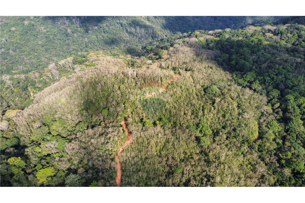 Surface commerciale - Autre terrain - San José, San José, Costa Rica - Caribbean & Central Ameri - 9 - 90168030-68