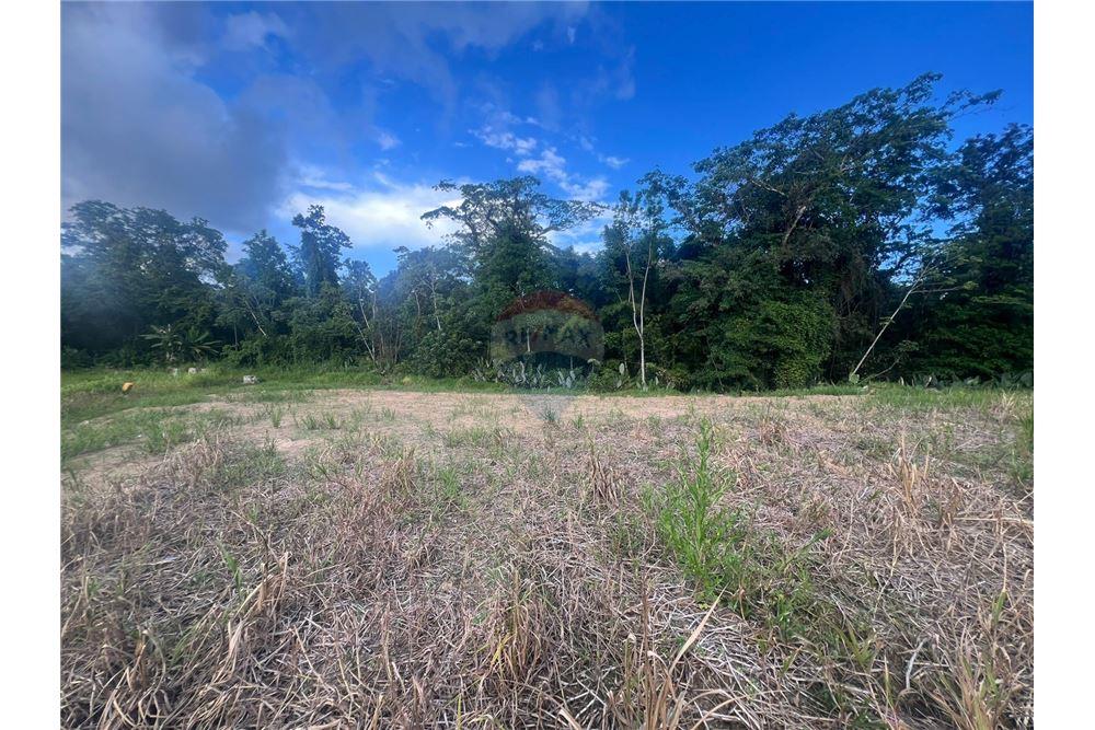 Lote - Venta - Sangre Grande, Saint Andrew, Trinidad and Tobago - 4 - 90155092-96