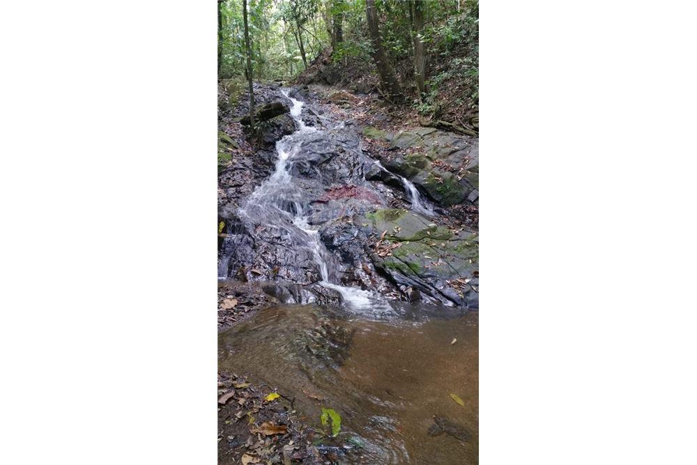 Surface commerciale - Autre terrain - San José, San José, Costa Rica - Caribbean & Central Ameri - 28 - 90168030-68