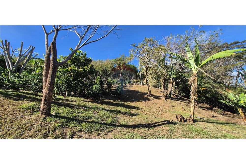 Residential - Villa - Atenas, Alajuela- Atenas, Costa Rica - Caribbean & Central Ameri - 28 - 90128007-197