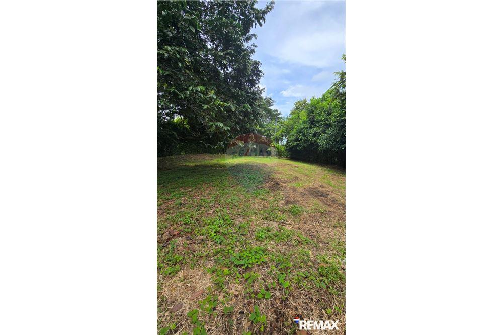 Commercial - Land - Jaco - Playa Hermosa, Puntarenas- Garabito, Costa Rica - Caribbean & Central Ameri - 8 - 90168005-700