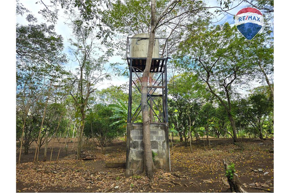 Commercial - Land - Nandaime, Granada, Nicaragua - Caribbean & Central Ameri - 25 - 90119010-73