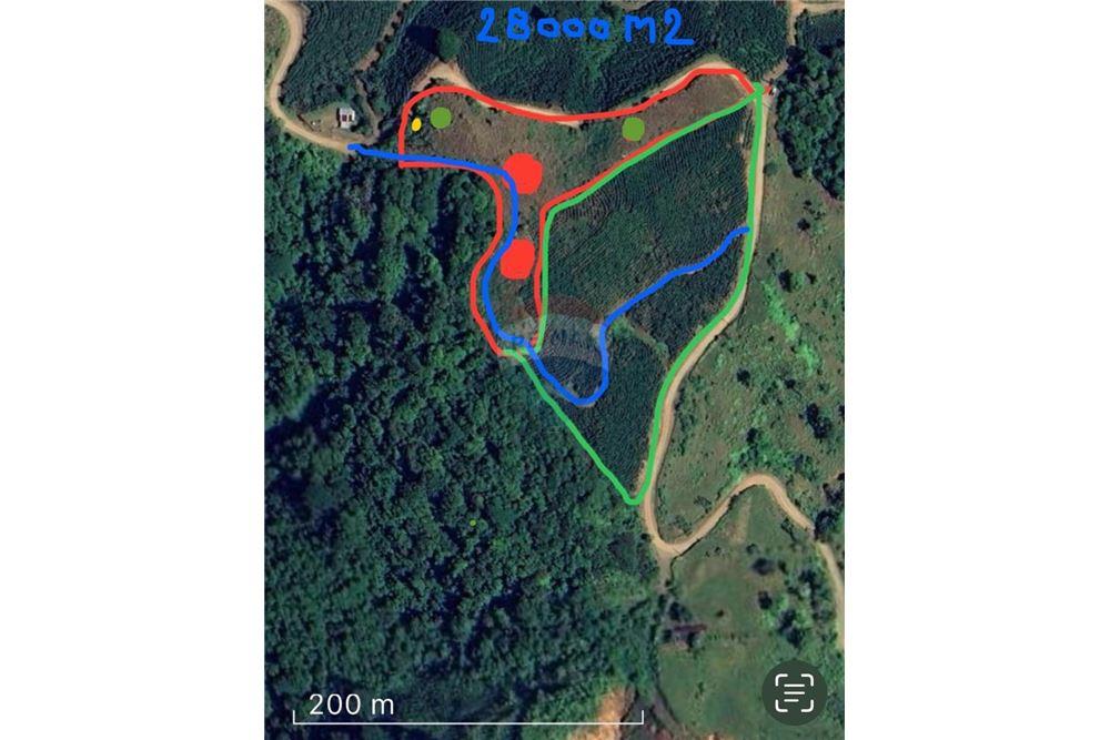 Commercial - Land - León XIII, San José - Tibás, Costa Rica - Caribbean & Central Ameri - 7 - 90168016-213