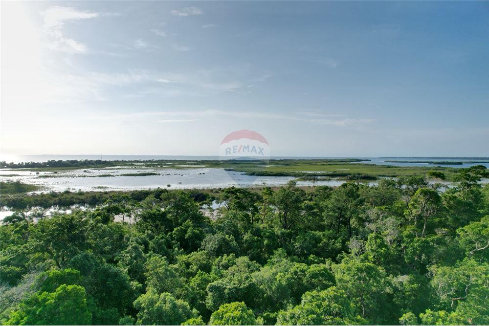 Commercial - Land - Stann Creek, Stann Creek District, Belize - Caribbean & Central Ameri - 2 - 90127022-91