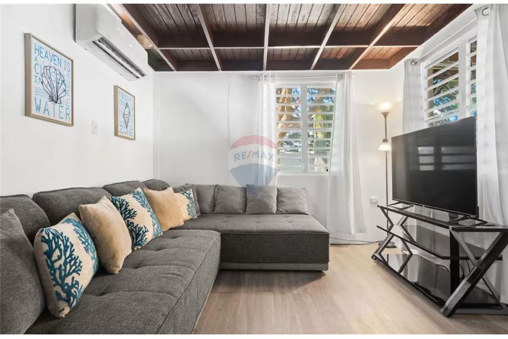 Volledig pand - Te Koop - Naguabo, Naguabo, Puerto Rico - 4 - 90102037-10