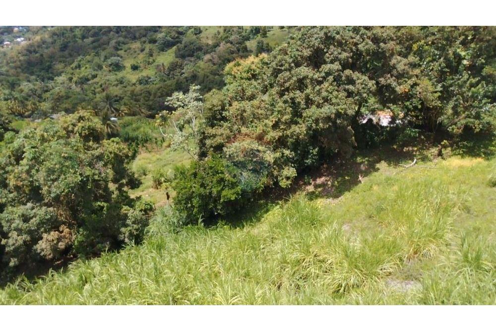 商业 - 土地 - Belmont, St Vincent, St Vincent and the Grenadines - Caribbean & Central Ameri - 6 - 90109001-315