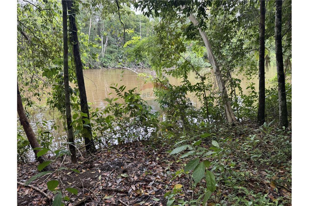 Commercial - Land - Punta Gorda, Toledo District, Belize - Caribbean & Central Ameri - 4 - 90127003-295