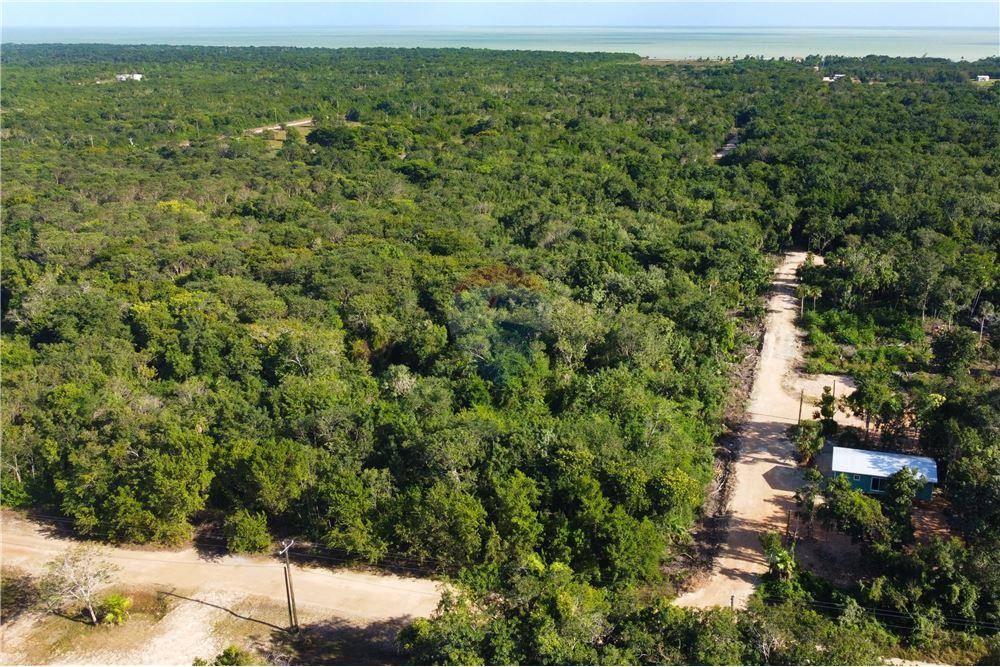 Surface commerciale - Autre terrain - Consejo, Corozal District, Belize - Caribbean & Central Ameri - 5 - 901411007-88