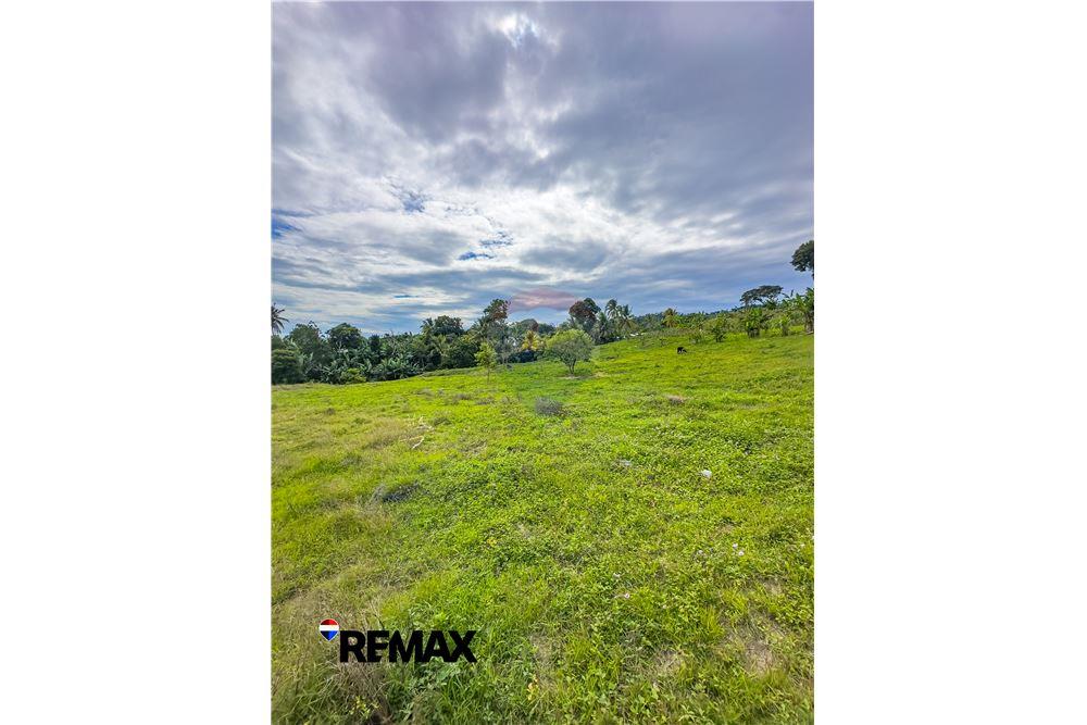 Land - For Sale - Santa Cruz Analquito, Cuscatlán, El Salvador - 4 - 902711060-3