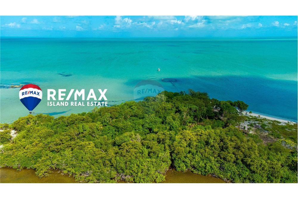 Commercial - Land - Ambergris Caye, Ambergris Caye, Belize - Caribbean & Central Ameri - 10 - 90135004-97