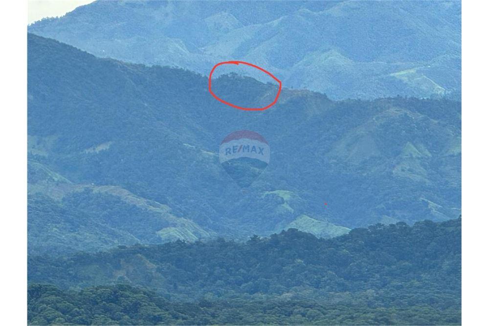 Commercial - Land - León XIII, San José - Tibás, Costa Rica - Caribbean & Central Ameri - 8 - 90168016-213