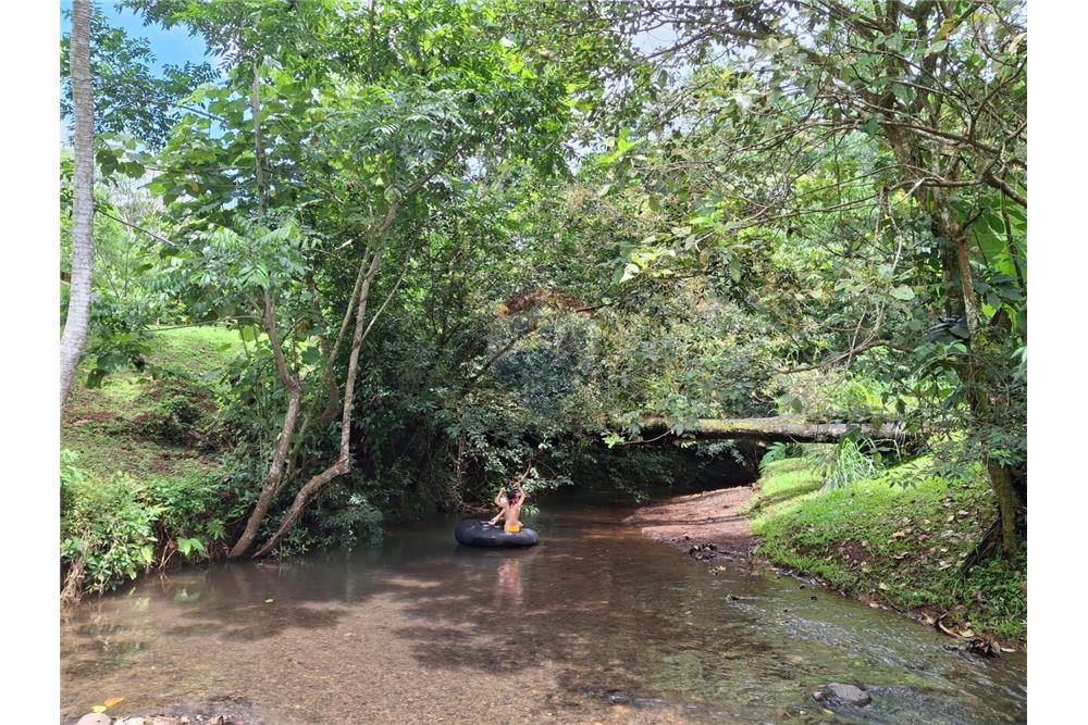 住宅 - 多户住宅 - Puntarenas, Puntarenas - Puntarenas, 哥斯达黎加 - Caribbean & Central Ameri - 19 - 90168039-34