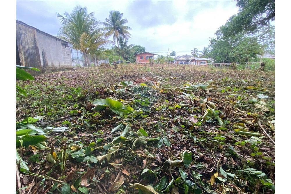 Grondstuk - Te Koop - Sangre Grande, Saint Andrew, Trinidad and Tobago - 9 - 90155109-184