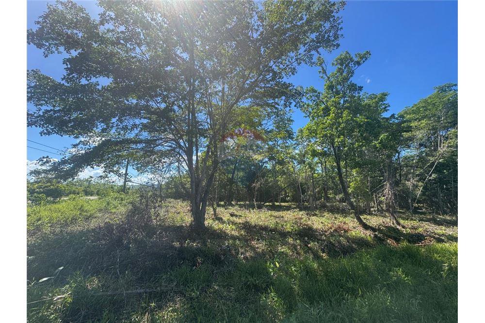 Comercial - Terreno - Hopkins, Stann Creek District, Belice - Caribbean & Central Ameri - 6 - 90127003-307