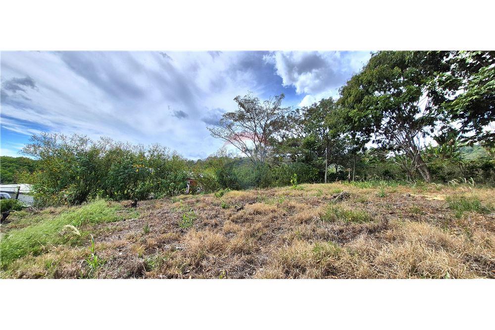 Commercieel - Grond - Atenas, Alajuela- Atenas, Costa Rica - Caribbean & Central Ameri - 4 - 90128007-198