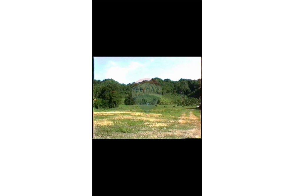 Land - For Sale - Dorado, Dorado, Puerto Rico - 3 - 90102025-331